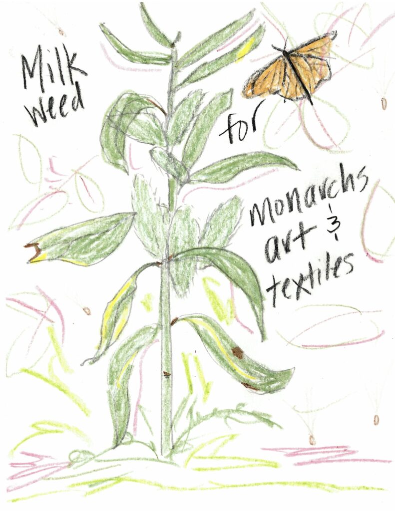 Milkweed for monarchs, art & textiles